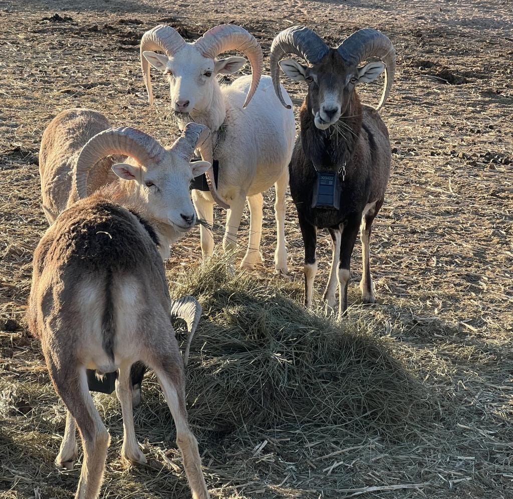 The 1692 Farms family working together